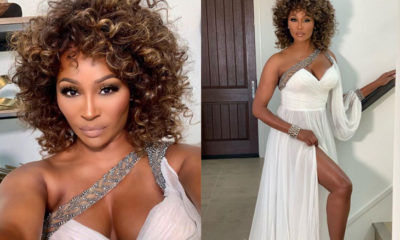 Cynthia Bailey Says She Did Not Get Fired From The Real Housewives Of Atlanta